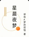 星辰夜夢 封面