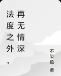 法度之外，再無情深 封面