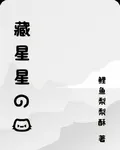 藏星星的貓 封面