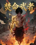 焚命武者 封面