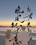 晚風知我意，與君共朝夕 封面