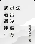 武道通神：方寸靈臺，映照萬法 封面
