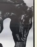 我的娘娘命母親 封面