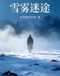 雪霧迷途 封面