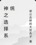 神之選擇系統 封面