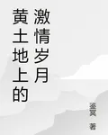 黃土地上的激情歲月 封面