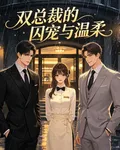 雙總裁的囚寵與溫柔 封面