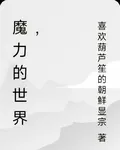 魔力的世界， 封面