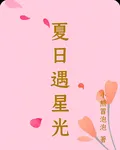 夏日遇星光 封面