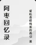 阿棗回憶錄 封面