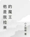 他是我撿來的魔王 封面