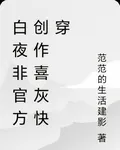 白夜非官方 封面