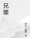 兄罪 封面