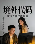 境外代碼：技術大佬逆境翻盤 封面