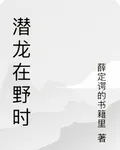 潛龍在野時 封面