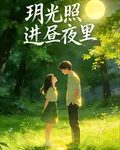 玥光照進晝夜裏 封面