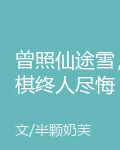 曾照仙途雪，棋終人盡悔 封面