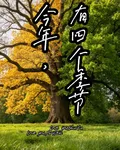 今年，有四個季節 封面