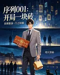 序列001：開局一塊磚 封面
