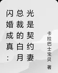 閃婚成真：總裁的白月光是契約妻 封面