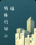 特殊行動小組 封面