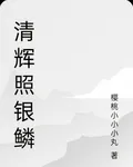 清輝照銀鱗 封面