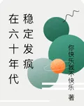 在六十年代穩定發瘋 封面