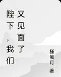 陛下，我們又見面了 封面