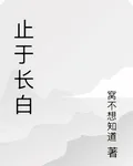 止於長白 封面