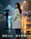 雨夜之後，我不再等你 封面
