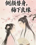 側顏替身，梅下良緣 封面