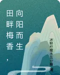 田畔梅香，向陽而生 封面