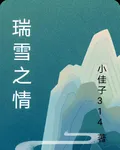 瑞雪之情 封面