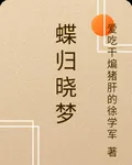 蝶歸曉夢 封面