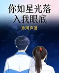 你如星光落入我眼底 封面