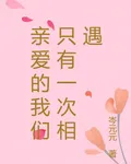 親愛的我們只有一次相遇 封面