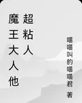 魔王大人他超粘人 封面