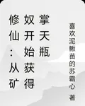 修仙：從礦奴開始獲得掌天瓶 封面