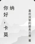 你好，卡莫納 封面
