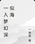 一入夢幻深似海 封面