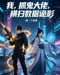 雙魂抓鬼，橫掃數據詭影 封面