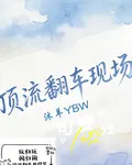 頂流翻車現場 封面