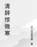 清辭驚微寒 封面