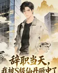 辭職當天，我被S級仙丹砸中了 封面