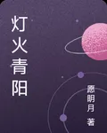燈火青陽 封面