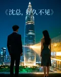 沈總，好久不見 封面