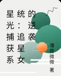 星光捕獲系統：追星女的逆襲 封面