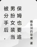 被分手後，男扮女裝當保姆也要追 封面