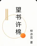 望書許棉 封面