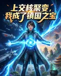 上交核聚變，我成了鎮國之寶 封面